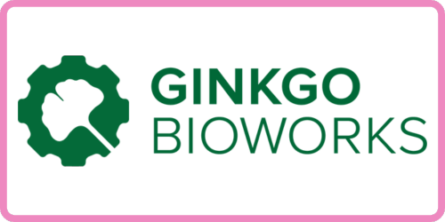 Ginkgo Box